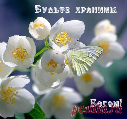 Обряд от колдовства соседей.... | Познавательный сайт ,,1000 мелочей"