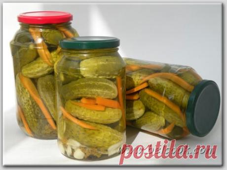 Домашние заготовки (рецепты) | Записи в рубрике Домашние заготовки (рецепты) | Дневник koteroza
