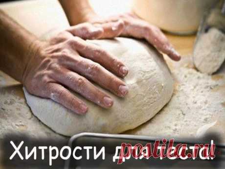 САМОЕ ВКУСНОЕ ТЕСТО ЖЛЯ РАЗНОЙ ВЫПЕЧКИ НА КАЖДЫЙ ДЕНЬ!!!ЧЕТЫРЕ НЕЗАМЕНИМЫХ РЕЦЕПТА!!!ОПИСАНИЕ ПОД ФОТО ЕСЛИ ВЫ ЕЩЕ НЕ В ГРУППЕ ЖМИ ПРИСОЕДИНИТСЯ   ↓↓↓↓↓↓↓↓↓↓↓↓↓↓↓↓↓↓↓↓↓↓↓↓↓↓↓↓↓↓↓↓↓↓↓↓↓↓↓↓↓↓↓↓↓↓↓↓↓↓↓↓↓↓↓↓↓↓↓↓↓↓↓↓↓