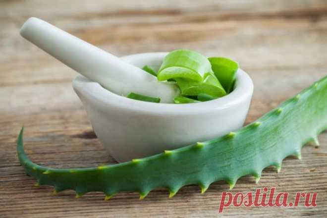 Дневник luchiya