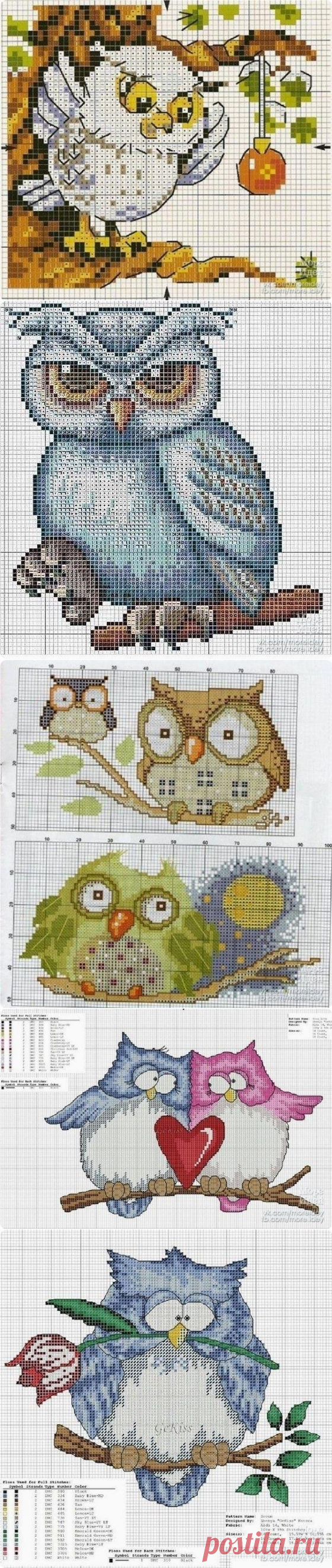 Сoвы, сoвушки и сoвятa. Схемы.