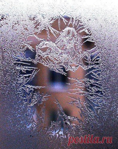 afKT6hxFaiU.jpg (396×500)