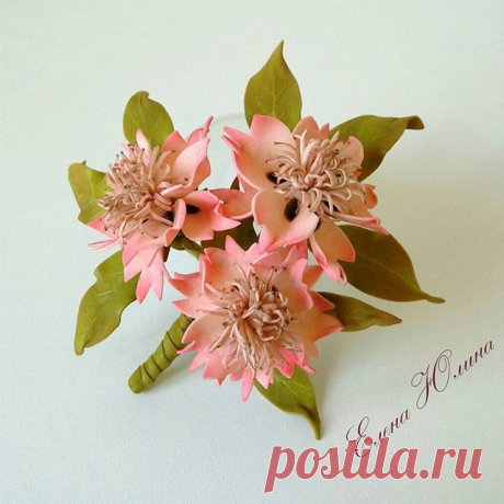 Instagram photo taken by Елена Юлина - INK361
