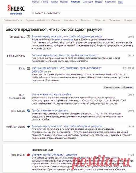 Мои закладки
