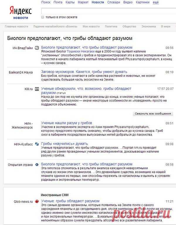 Мои закладки