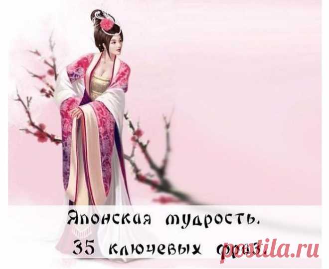 (27) Одноклассники