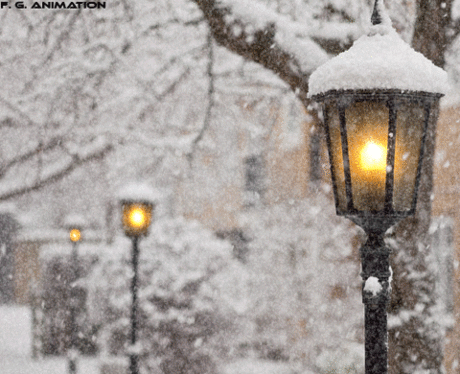 анимированные фото