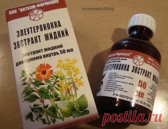Удаляем морщины и угри при помощи настойки элеутерококка Экстракт элеутерококка относится к категории лекарственных растений, активно используемый для приготовления разнообразных целебных масок и отваров для лица, волос и кожи. Его регулярное применение спо…