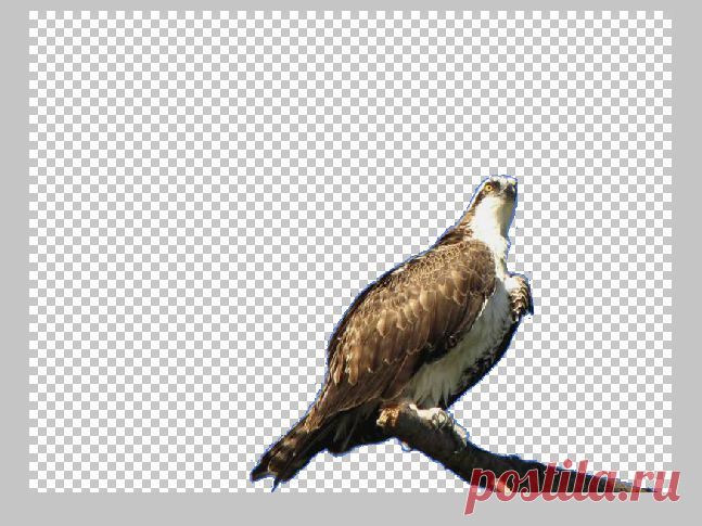 Как очистить картику от заднего фона в программе ЭДИТОР