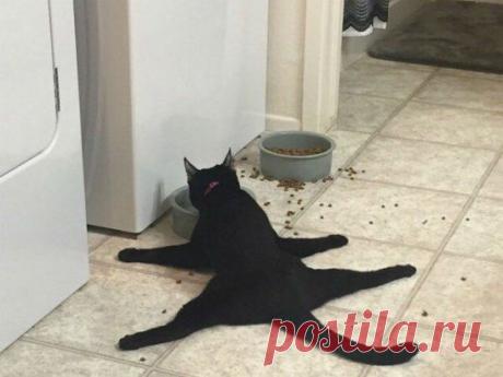 Звезда обедает..))