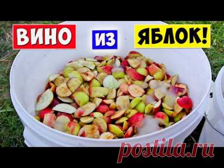 ВИНО из ЯБЛОК / Яблочное Вино - Самый Простой РЕЦЕПТ / Яблочный сидр