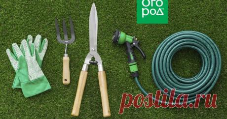 Подводим итоги: 7 дачных хитростей, которым я научился в 2018 году Каждый дачник в процессе освоения своего участка обязательно постоянно чему-то учится. Кто-то осваивает новые технологии выращивания растений, кто-то обучается построению теплицы, кто-то открывает для себя теплые грядки, кто-то находит новые удачные сорта растений или оптимально действующие удобрения…