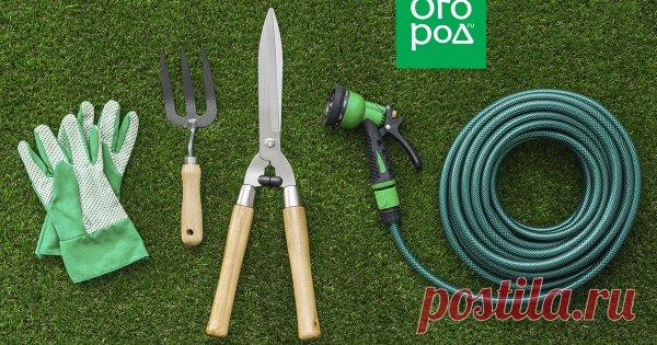 Подводим итоги: 7 дачных хитростей, которым я научился в 2018 году Каждый дачник в процессе освоения своего участка обязательно постоянно чему-то учится. Кто-то осваивает новые технологии выращивания растений, кто-то обучается построению теплицы, кто-то открывает для себя теплые грядки, кто-то находит новые удачные сорта растений или оптимально действующие удобрения…