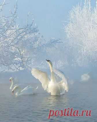(97) Facebook