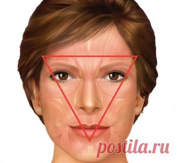 Треугольник МОЛОДОСТИ вашего лица: Делайте это и будете выглядеть на 20 лет моложе! — Домашние заботы