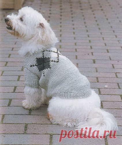 Одежда для домашних животных | Записи в рубрике Одежда для домашних животных | ЯРМАРКА_РУКОДЕЛИЯ