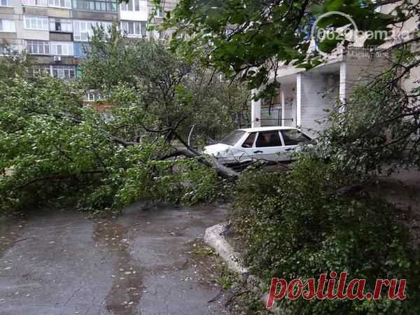 (1) Твиттер