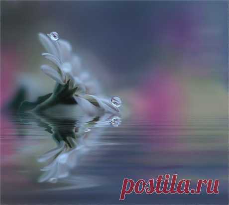 Фотографии на стене сообщества | 32 908 фотографий | ВКонтакте