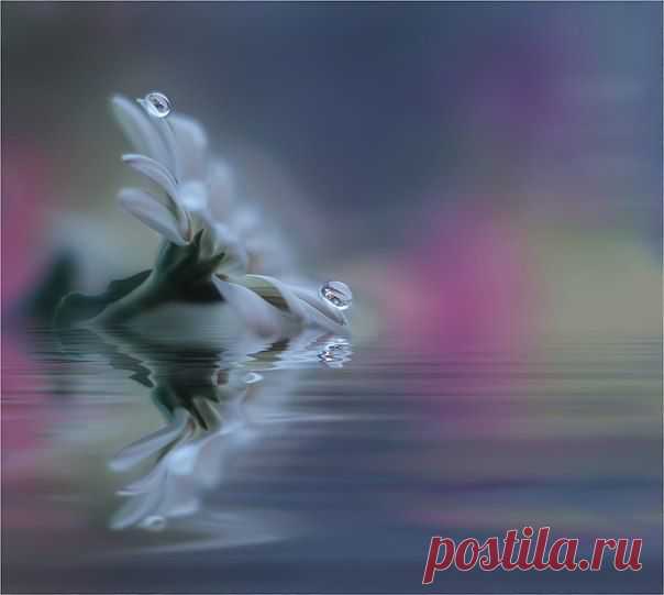 Фотографии на стене сообщества | 32 908 фотографий | ВКонтакте