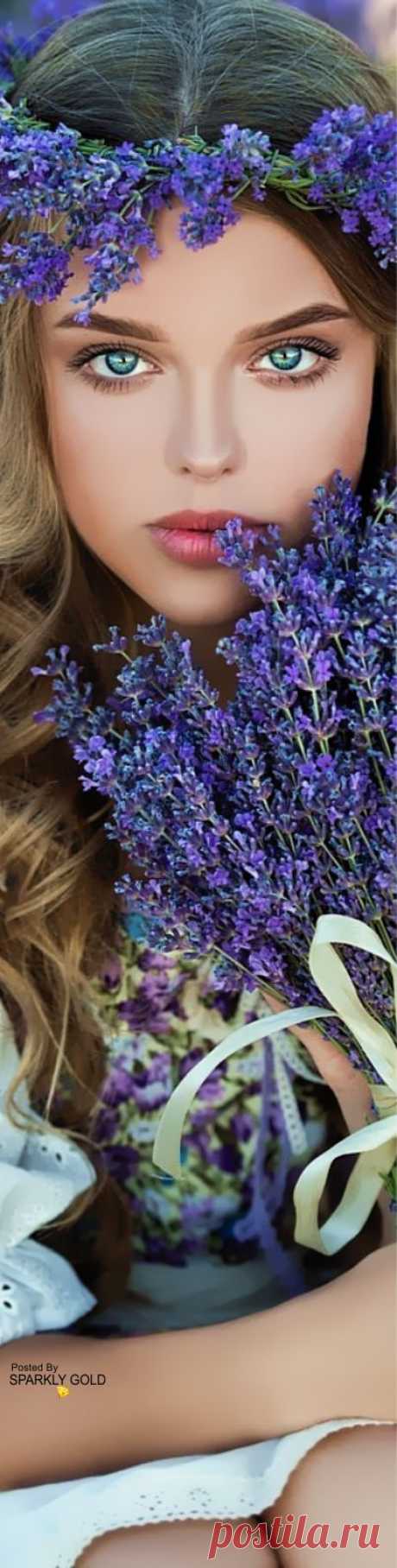 (2) Pinterest