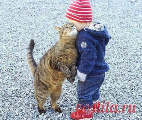 Это любовь ))))