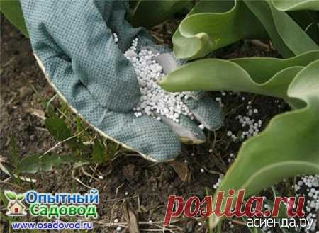 Как хранить удобрения: Группа Практикум садовода и огородника