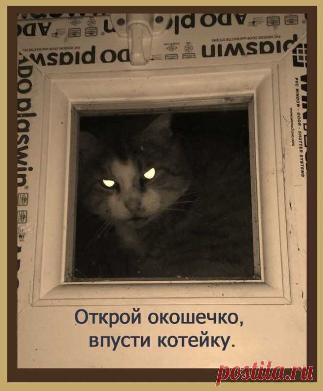Открой окошечко, впусти котейку.