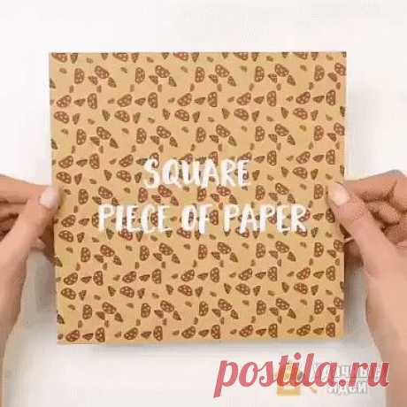 (88) Одноклассники