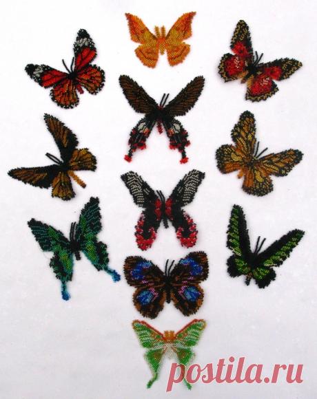 Азиатские бабочки. Бисерная коллекция 63 бабочки мира