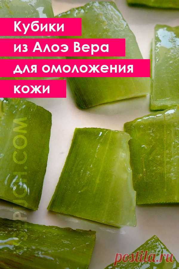 Замороженные кубики из Алоэ Вера для омоложения кожи #алоэ #омоложение #кожалица #домашняякосметика #косметическийлед
