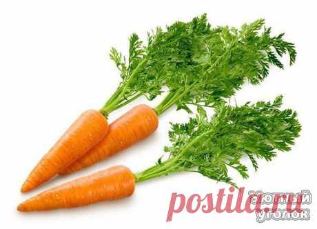 7 продуктов, повышающих уровень гемоглобина в крови:

1. Сок моркови. Выпивайте стакан 3-4 раза в неделю.

2. Земляника, клубника – в свежем виде.

3. Свекла – натертая на терке либо в виде сока.

4. Шиповник с медом. Такой напиток укрепляет иммунитет и повышает уровень гемоглобина.

5. Травяной сбор – зверобой, ромашка (по 3 столовых ложки), крапива, листья ежевики (по 2 ложки) – залейте кипятком в термос, дайте отвару настояться, затем выпивайте 1 стакан 3 раза в день.

...