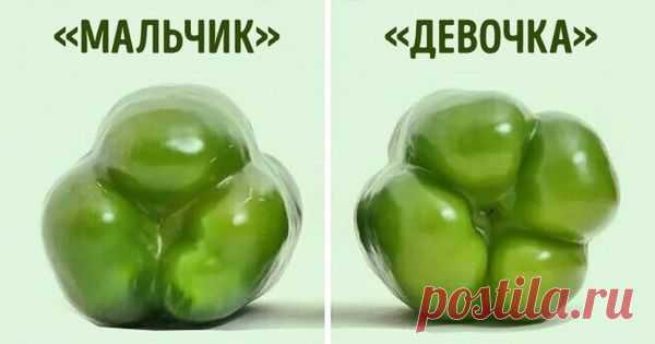 готовка