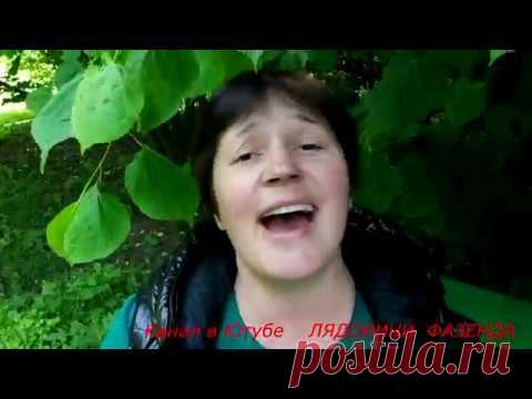 ЭТО ЛУЧШИЙ КЛИП В ИНТЕРНЕТЕ   !!!!  Офигеть- КАВЕР ПЕСНЯ !!!