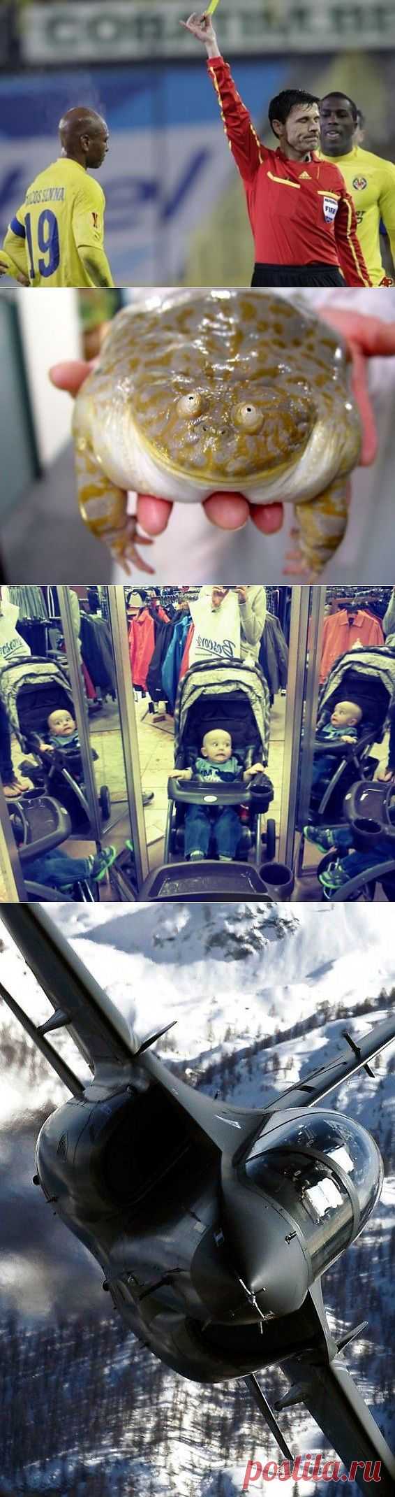 Это больше, чем просто фото!