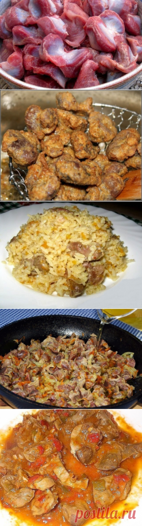 7 рецептов приготовления вкуснейших куриных желудков. Очень дешево и очень вкусно!!! - 1000