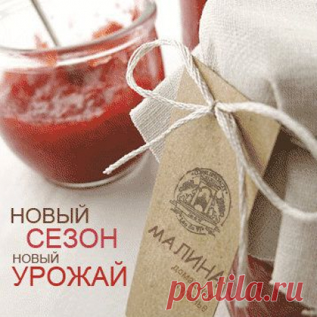 Новый сезон - новый урожай ягод.