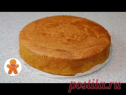 Апельсиновый Бисквит ✧ Школа Домашнего Кондитера