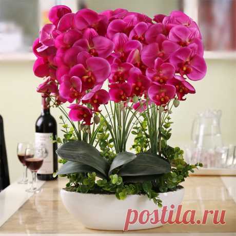(45) Одноклассники