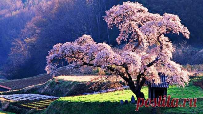 Смотреть красивые картинки (34 фото) ⭐ Забавник