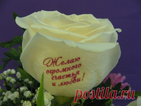 572a4413583e1004dc5abcb806ce5b70.jpg (Изображение JPEG, 800 × 600 пикселов)