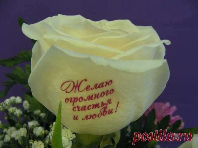 572a4413583e1004dc5abcb806ce5b70.jpg (Изображение JPEG, 800 × 600 пикселов)