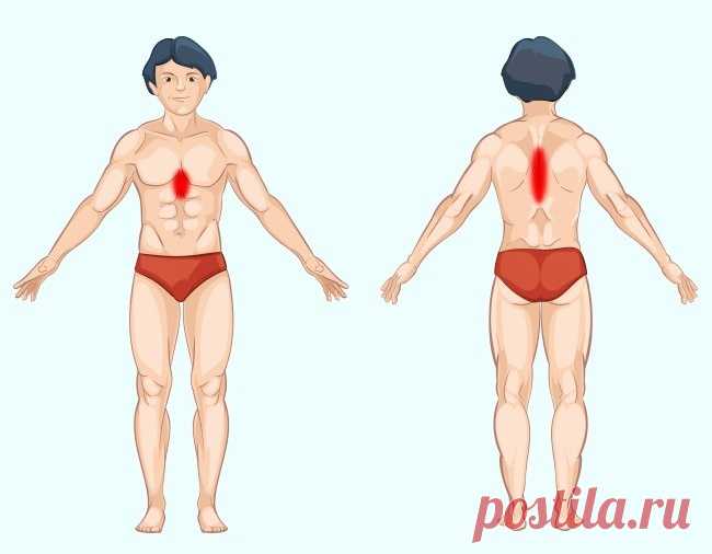 Как болят органы человека – схемы и описание ощущений и симптомов
