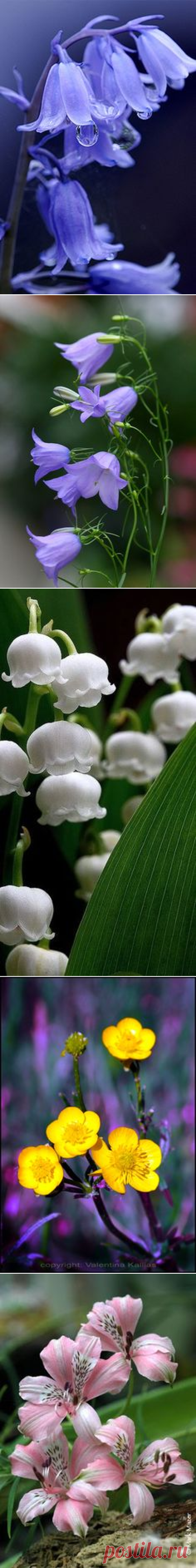 (754) Pinterest • Всемирный каталог идей