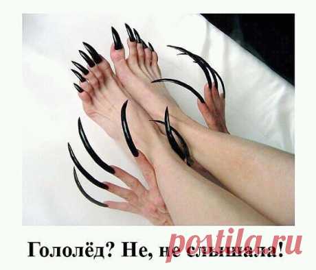 НОГОТКИ
