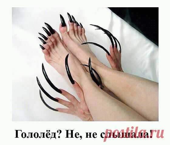 НОГОТКИ