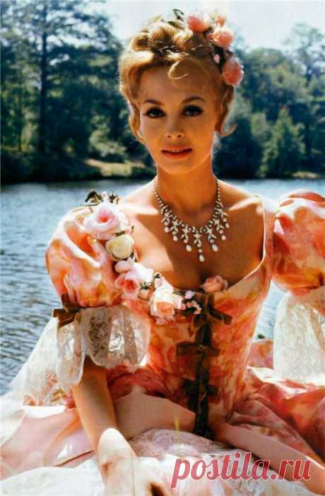 ПОДБОРКА КРАСИВЫХ ФОТОГРАФИЙ МИШЕЛЬ МЕРСЬЕ В МОЛОДОСТИ И СЕЙЧАС
Невероятно красивая женщина, идеал женской красоты и обаяния, смотришь на нее, как на прекрасный цветок и не можешь насмотреться.

Мишель Мерсье по праву входит в десятку самых красивых женщин всех времен и народов. Сколько бы не было прекраснейших девушек в мире, таких как Мишель Мерсье больше не существует. Идеал красоты, несмотря на то, что вкусы меняются, но этот идеал остается на самом высочайшем пьедестале.