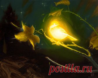 Bioluminescence - Hope by robrey on DeviantArt