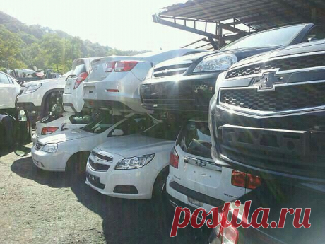 Azam Djurayev
28 лет, Узбекистан, Наманган