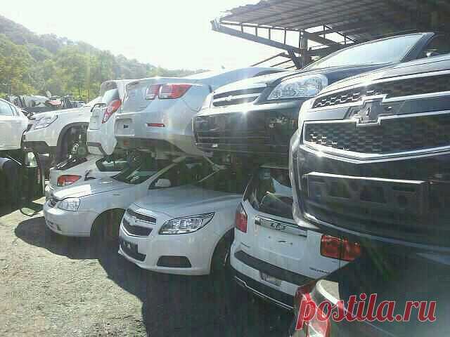 Azam Djurayev
28 лет, Узбекистан, Наманган