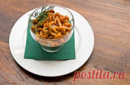 Опята: самые вкусные рецепты консервирования / Простые рецепты
